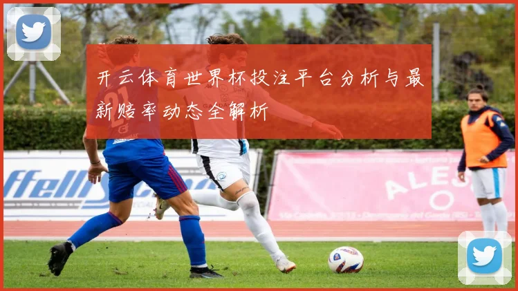 开云体育世界杯投注平台分析与最新赔率动态全解析