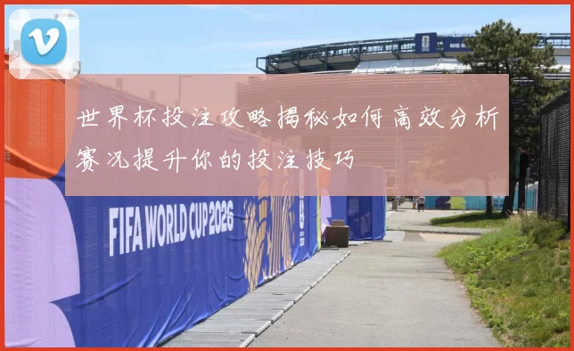 世界杯投注攻略揭秘如何高效分析赛况提升你的投注技巧