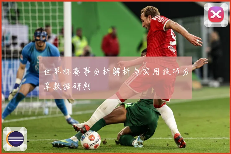 世界杯赛事分析解析与实用技巧分享数据研判
